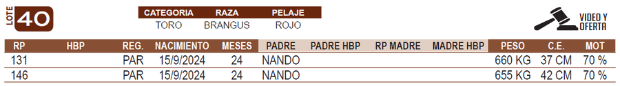 Lote LOTE 40