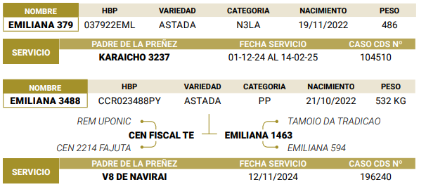 Lote LOTE 50