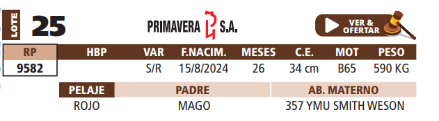 Lote LOTE 25