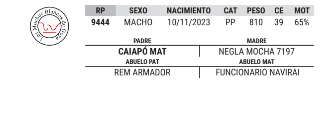 Lote LOTE 45