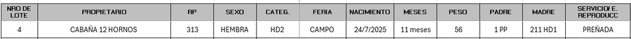 Lote LOTE 4 - CAMPO