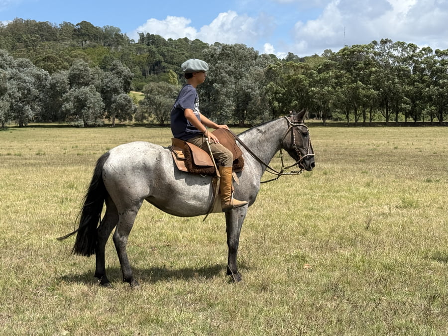 Lote IRUPE DE VITTORIA
