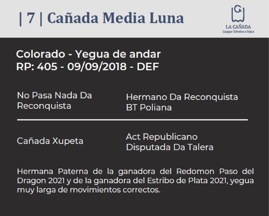 Lote Cañada Media Luna (RP 405) Cabaña "La Cañada"