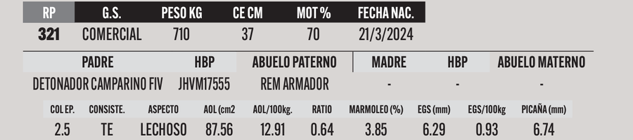 Lote LOTE 10