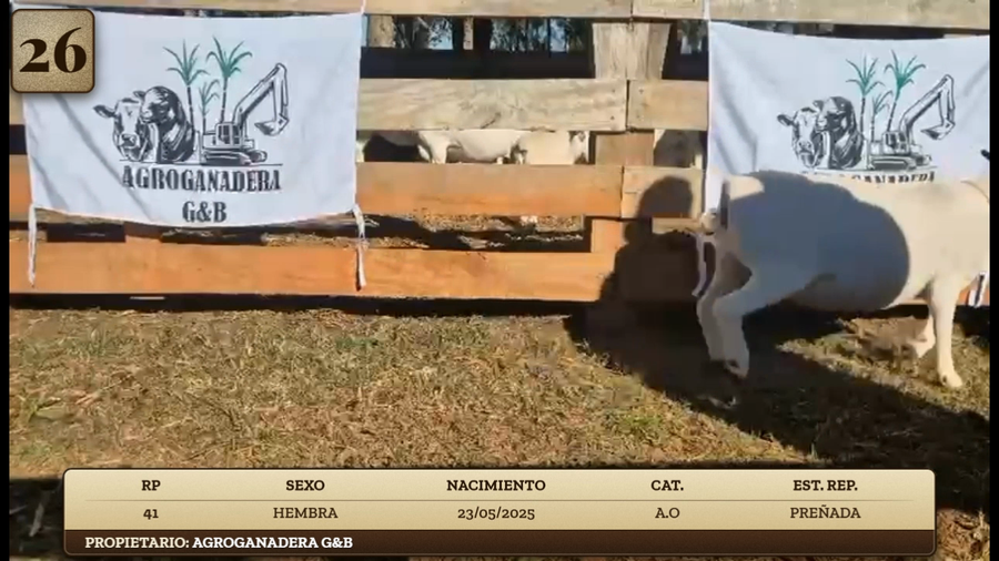 Lote LOTE 26