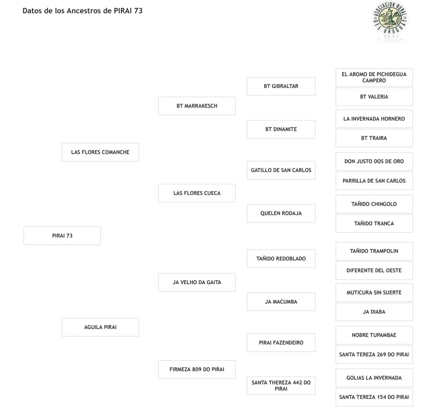 Lote Cabaña "Firmeza" - RP 73 - Piraí 73
