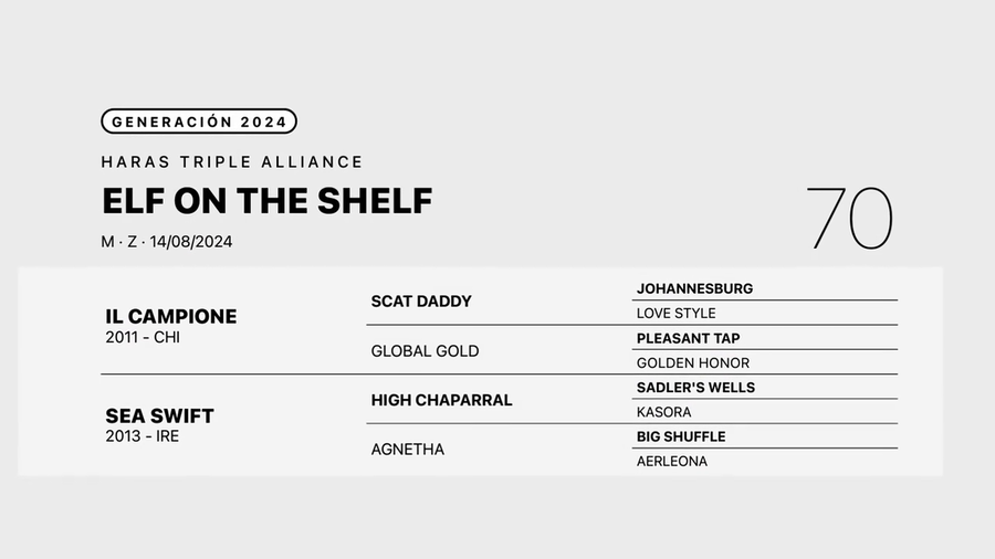 Lote ELF ON THE SHELF