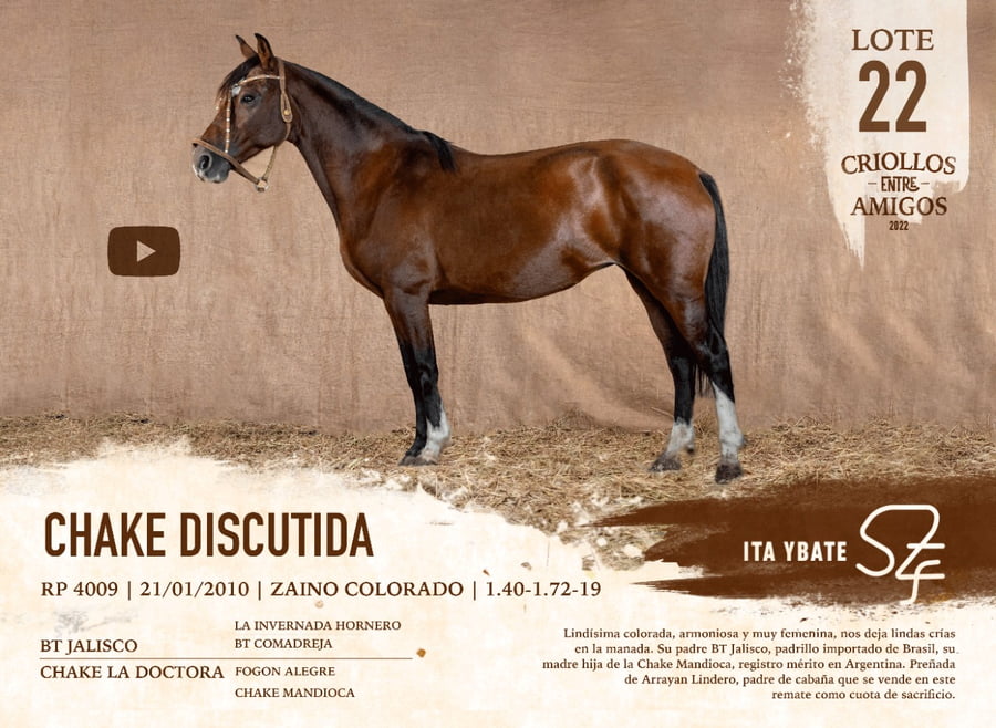 Lote CHAKE DISCUTIDA RP 4009