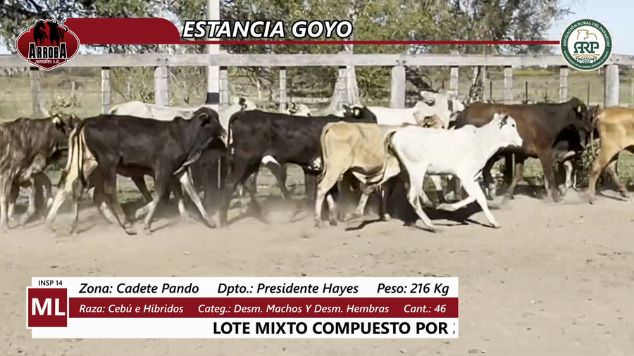 Lote ESTANCIA GOYO
