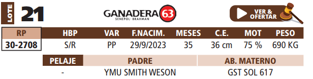 Lote LOTE 21
