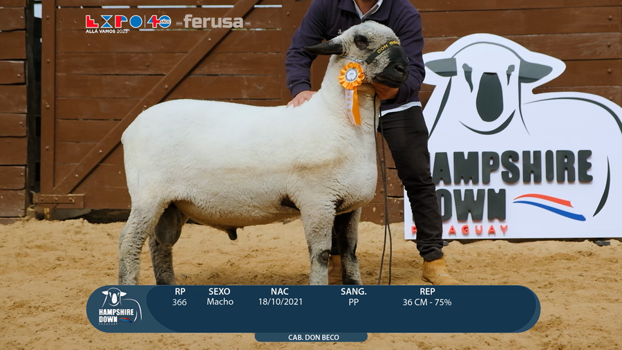 Lote LOTE 68  - BOZAL